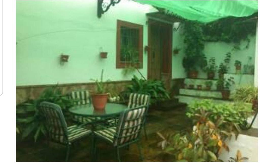 Apartamento En Cortijo Totalmente Reformado En Pleno Paraje Natural Junto Al Caminito Del Rey Y Los Sectores Mas Importantes De Escalada A Solo 2 Minutos De La Estacion De Tren Alora Exteriér fotografie